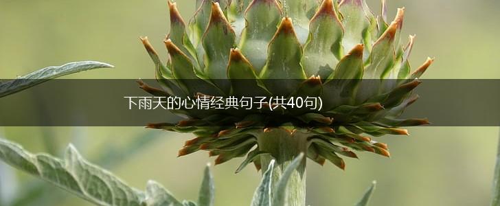 下雨天的心情经典句子(共40句),第1张