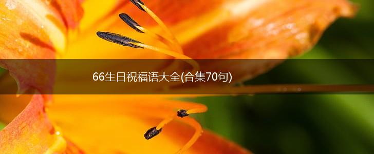 66生日祝福语大全(合集70句),第1张