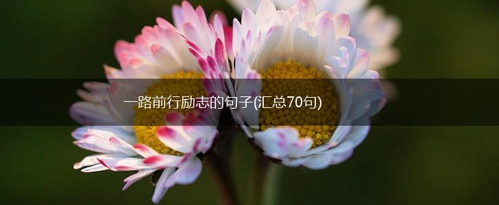 一路前行励志的句子(汇总70句),第1张