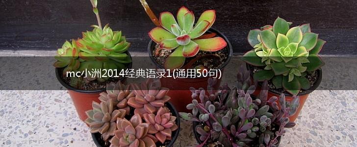 mc小洲2014经典语录1(通用50句),第1张