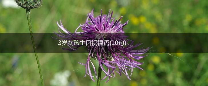 3岁女孩生日祝福语(10句),第1张