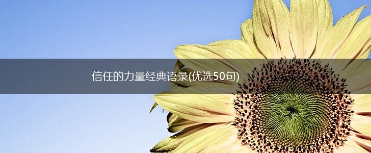 信任的力量经典语录(优选50句),第1张