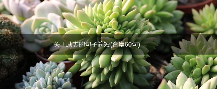 关于励志的句子简短(合集60句),第1张