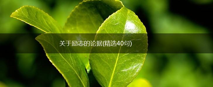 关于励志的论据(精选40句),第1张