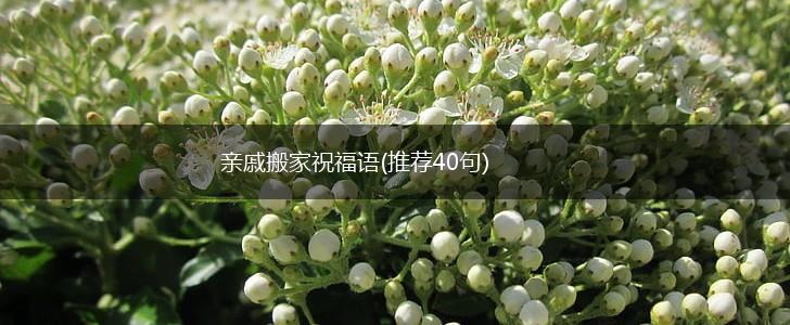 亲戚搬家祝福语(推荐40句),第1张