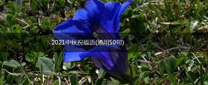 2021中秋祝福语(通用50句),第1张