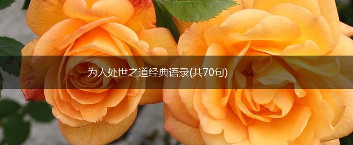 为人处世之道经典语录(共70句),第1张
