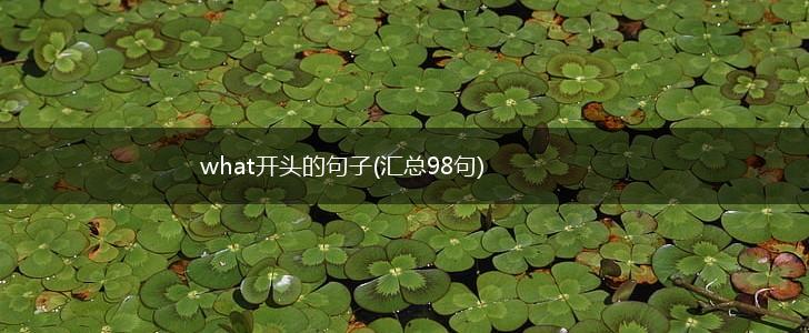 what开头的句子(汇总98句),第1张