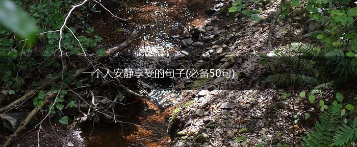 一个人安静享受的句子(必备50句),第1张