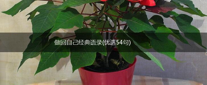 做回自己经典语录(优选54句),第1张