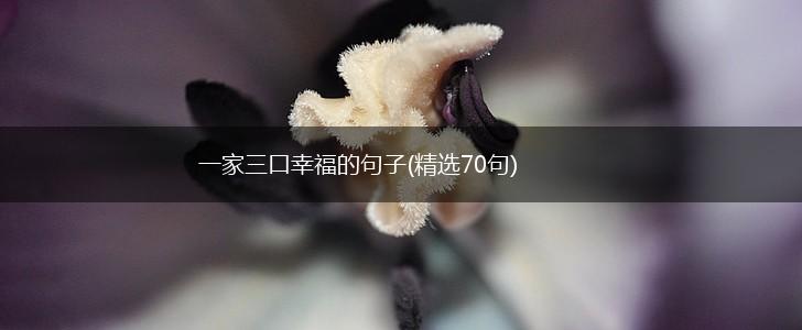 一家三口幸福的句子(精选70句),第1张
