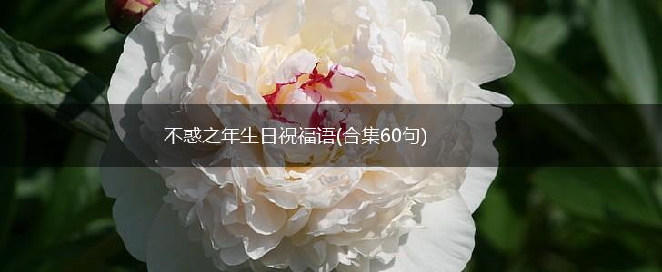 不惑之年生日祝福语(合集60句),第1张