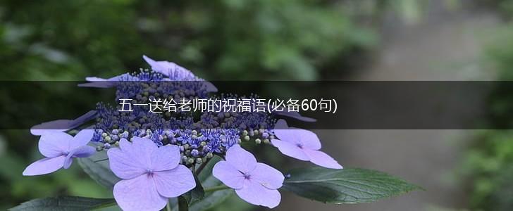 五一送给老师的祝福语(必备60句),第1张