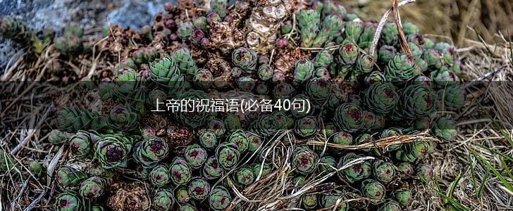 上帝的祝福语(必备40句),第1张
