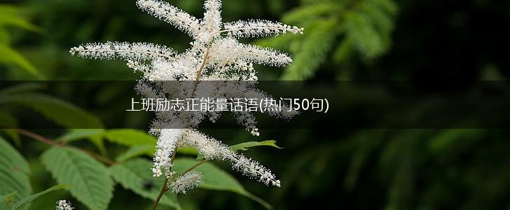 上班励志正能量话语(热门50句),第1张