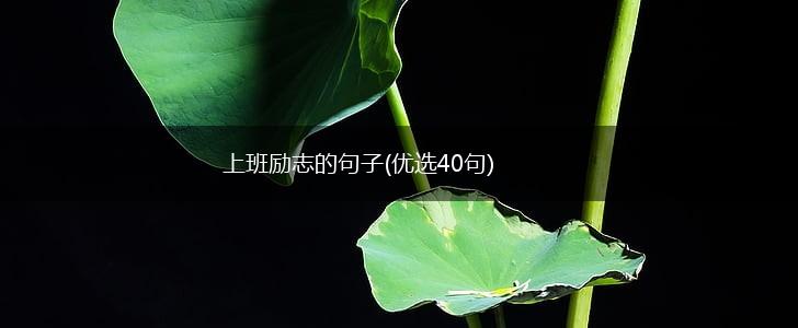 上班励志的句子(优选40句),第1张
