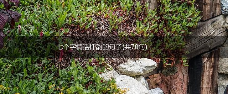 七个字情话押韵的句子(共70句),第1张