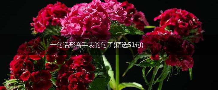 一句话形容手表的句子(精选51句),第1张
