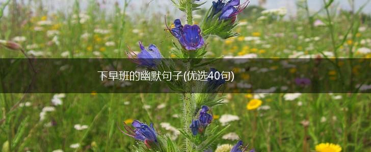 下早班的幽默句子(优选40句),第1张