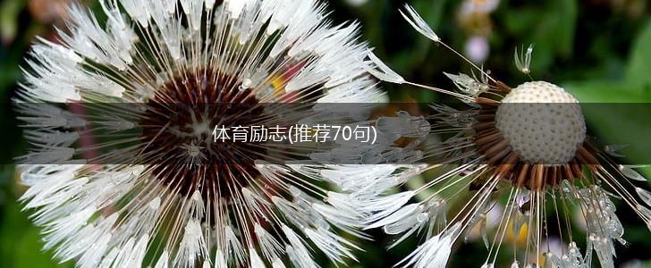 体育励志(推荐70句),第1张
