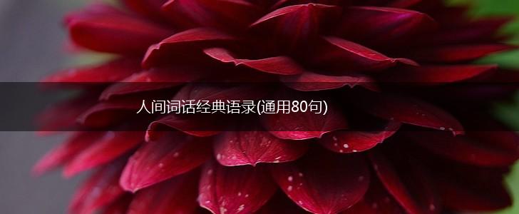 人间词话经典语录(通用80句),第1张