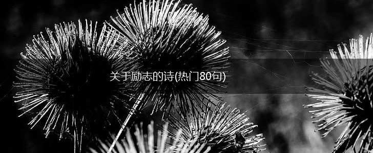 关于励志的诗(热门80句),第1张
