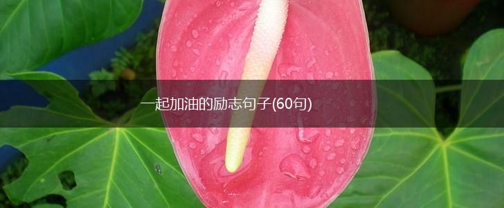 一起加油的励志句子(60句),第1张