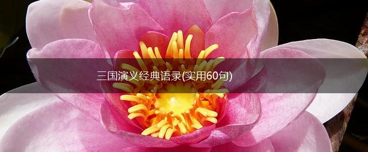 三国演义经典语录(实用60句),第1张