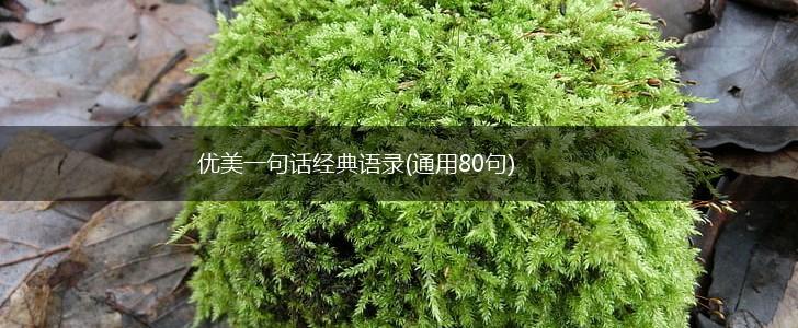 优美一句话经典语录(通用80句),第1张
