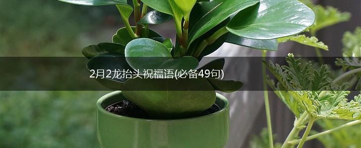 2月2龙抬头祝福语(必备49句),第1张
