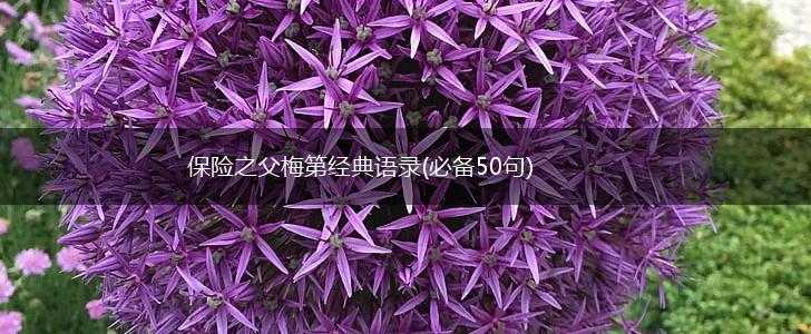 保险之父梅第经典语录(必备50句),第1张