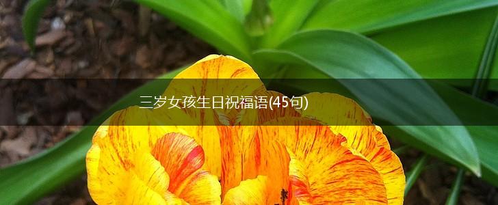三岁女孩生日祝福语(45句),第1张