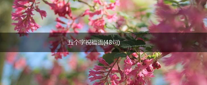 五个字祝福语(48句),第1张