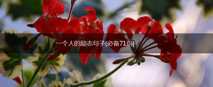 一个人的励志句子(必备71句),第1张