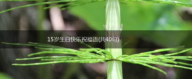 15岁生日快乐祝福语(共40句),第1张