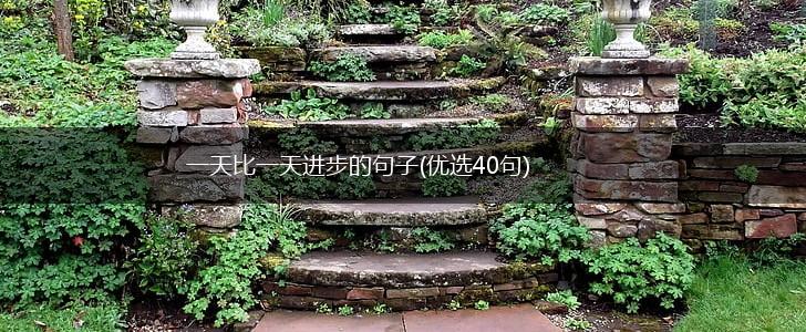 一天比一天进步的句子(优选40句),第1张
