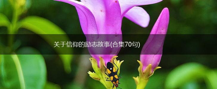 关于信仰的励志故事(合集70句),第1张