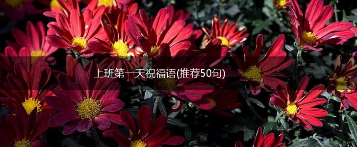上班第一天祝福语(推荐50句),第1张