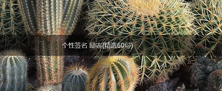 个性签名 励志(精选60句),第1张