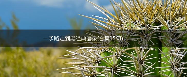 一条路走到黑经典语录(合集15句),第1张