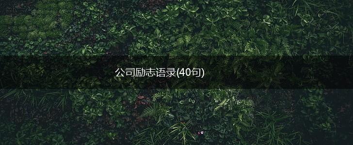 公司励志语录(40句),第1张