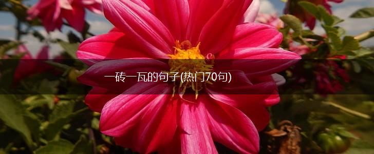 一砖一瓦的句子(热门70句),第1张