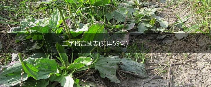 二字格言励志(实用59句),第1张