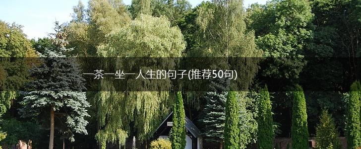 一茶一坐一人生的句子(推荐50句),第1张