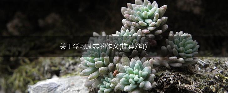 关于学习励志的作文(推荐7句),第1张