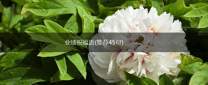 业绩祝福语(推荐45句),第1张