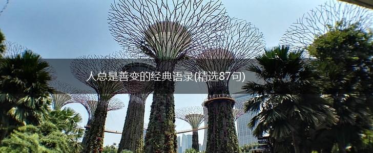 人总是善变的经典语录(精选87句),第1张