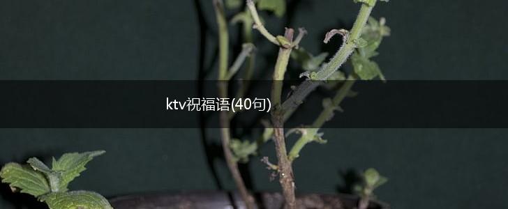 ktv祝福语(40句),第1张