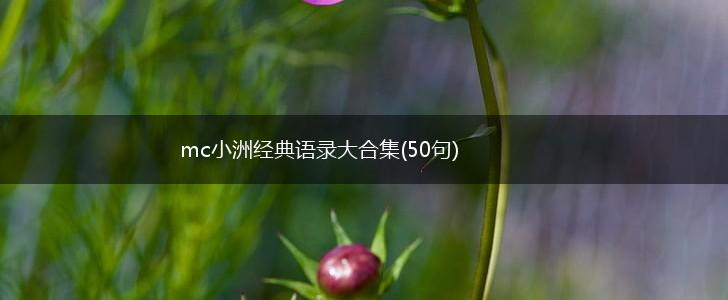 mc小洲经典语录大合集(50句),第1张