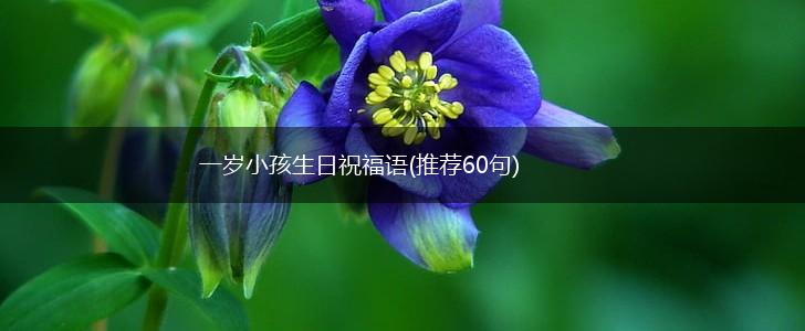 一岁小孩生日祝福语(推荐60句),第1张